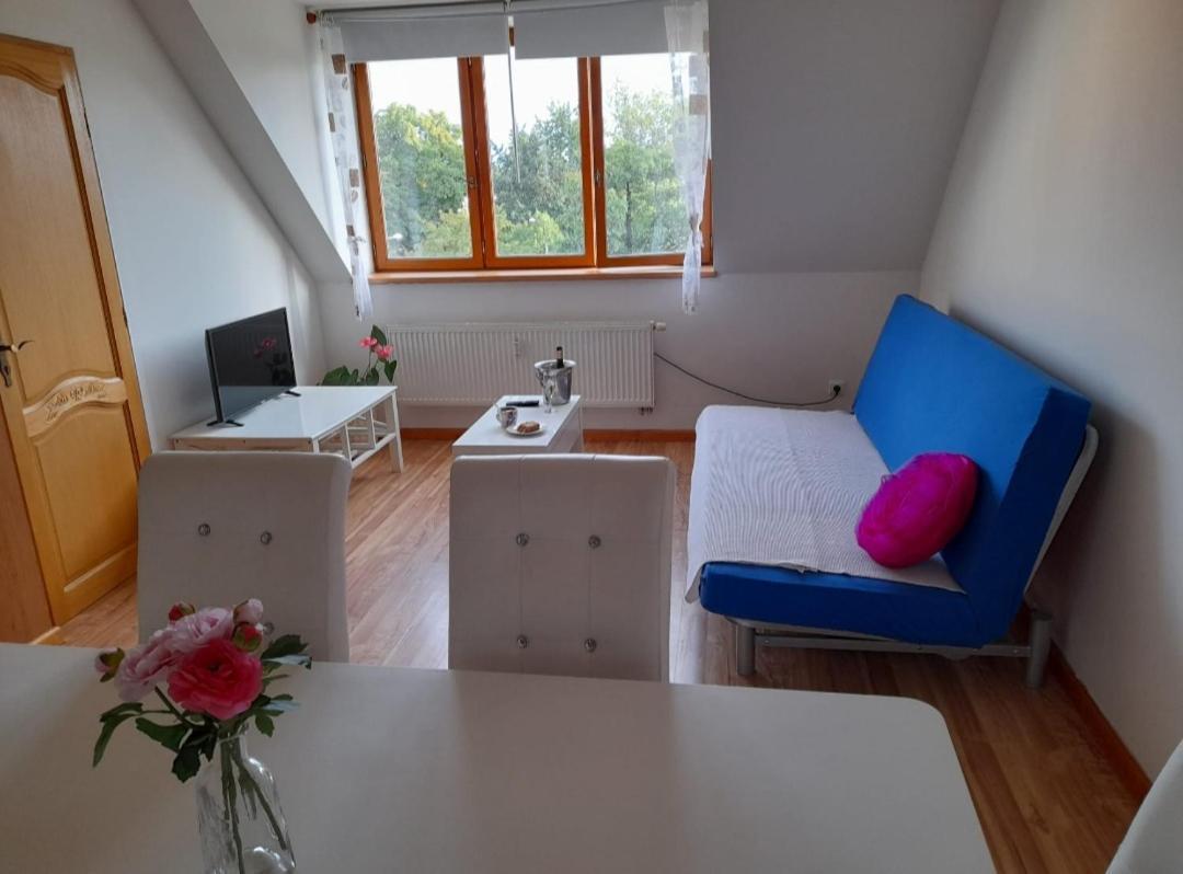 Riegrova Apartment เชสเกบูดิเยโจวิตเซ ภายนอก รูปภาพ